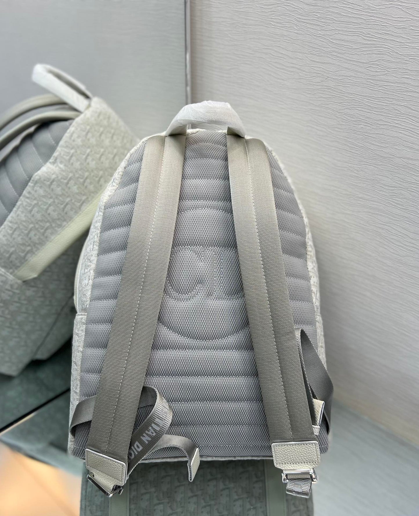 Christian Dior Backpack
