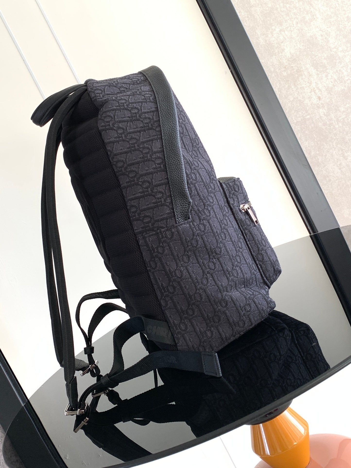 Christian Dior Backpack