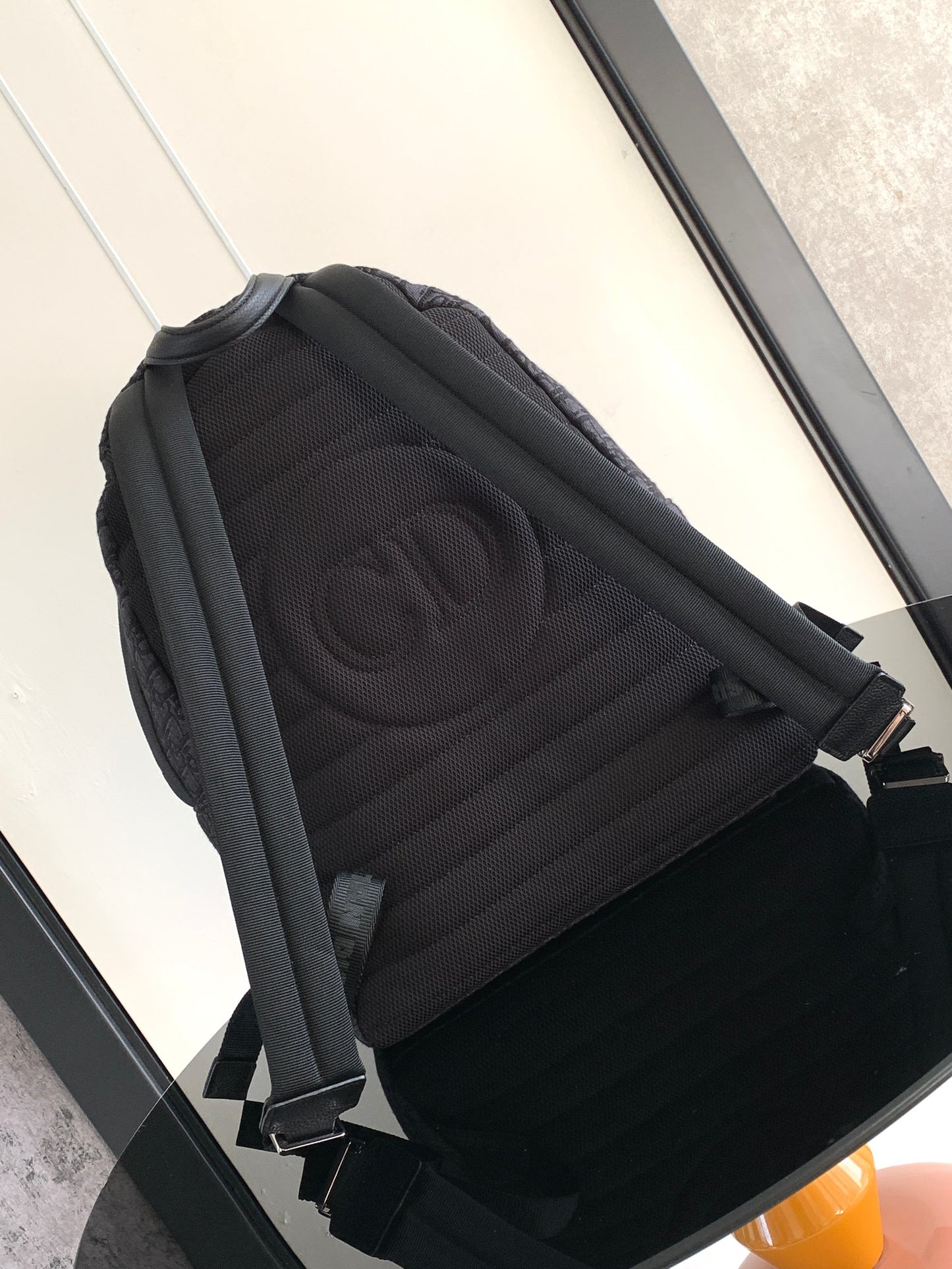 Christian Dior Backpack